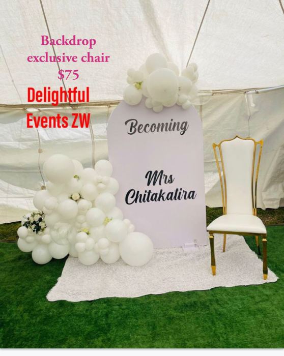 Semi-Arch Balloon Backdrop (Standard)